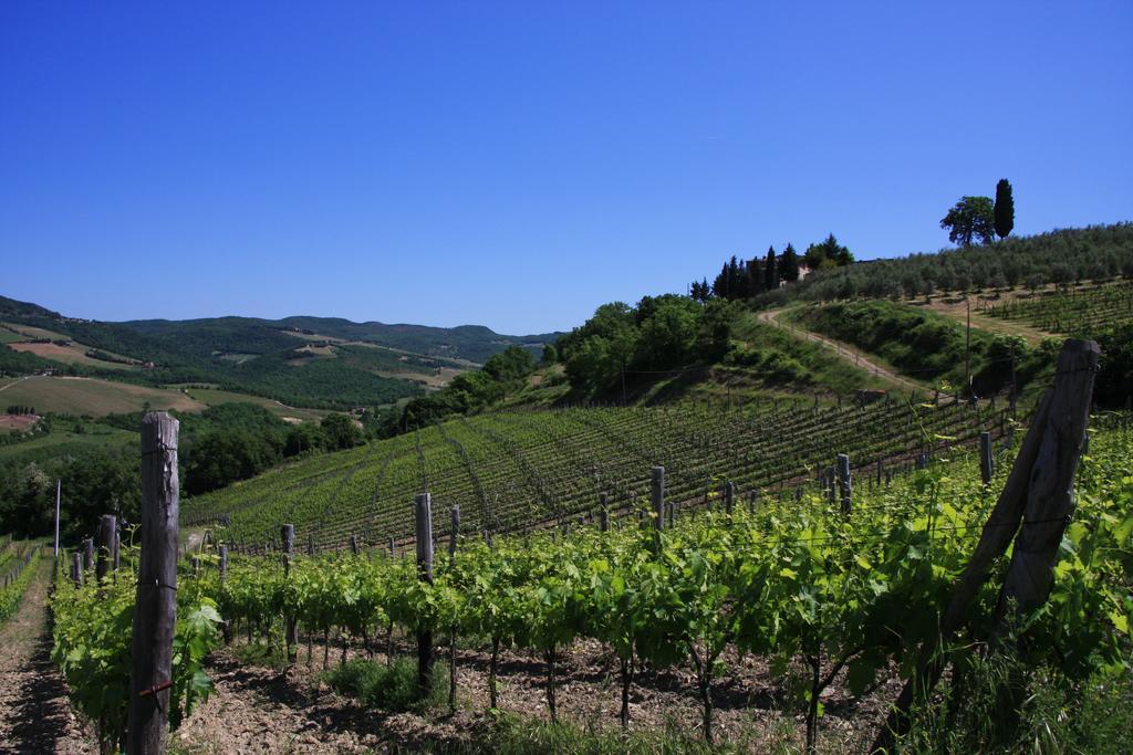 Il Borghetto Tuscan Holidays San Gimignano Bagian luar foto